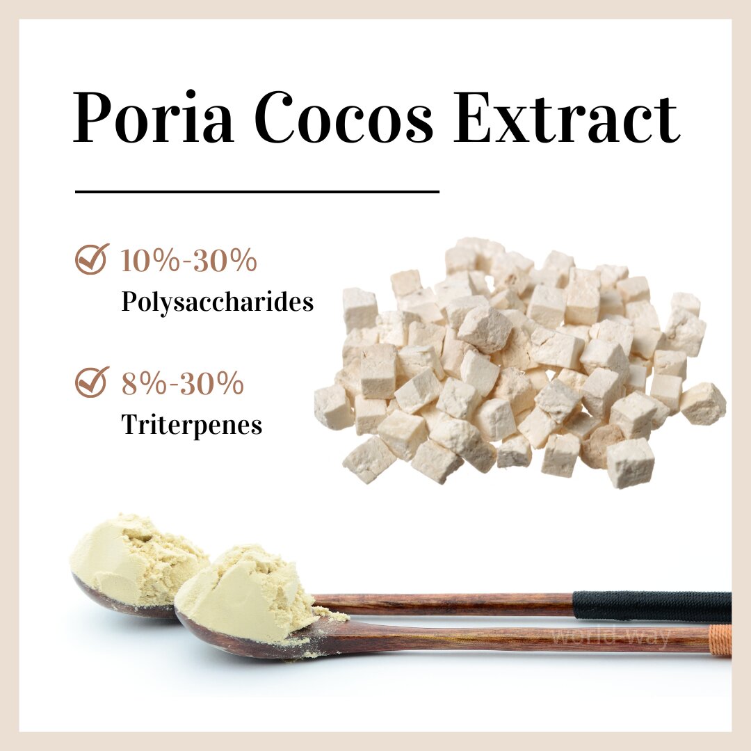 2.1茯苓_proc 2.1 茯苓_proc