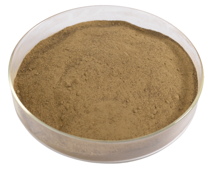 荷叶提取物 хеетикуву