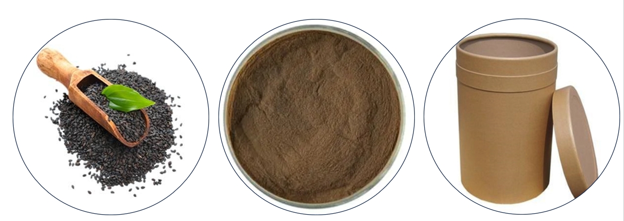 黑芝麻3 黑芝麻3