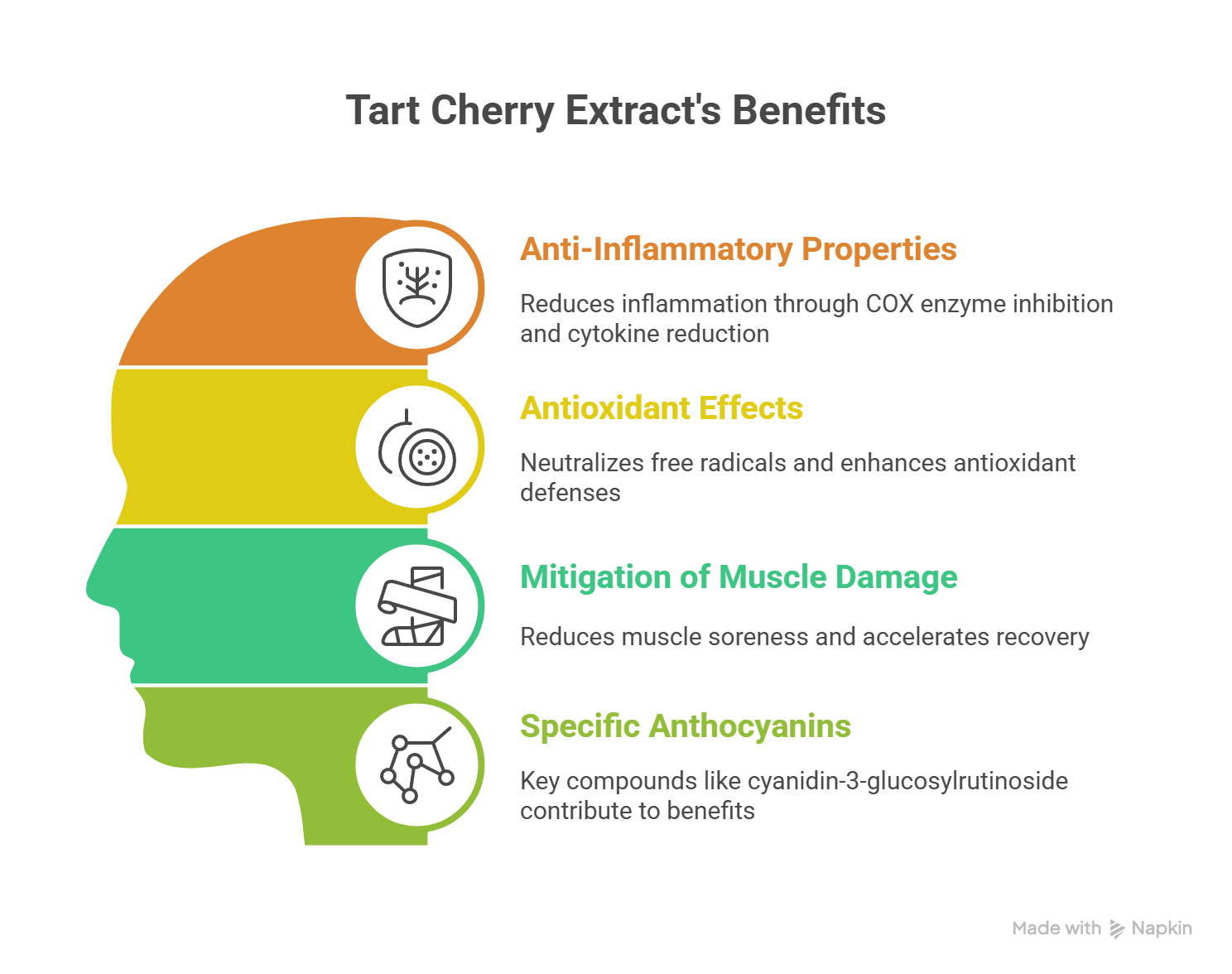 Tart Cherry Extract_ Mechanism of Action - visual selection ~!phoenix_varIMG11!~
