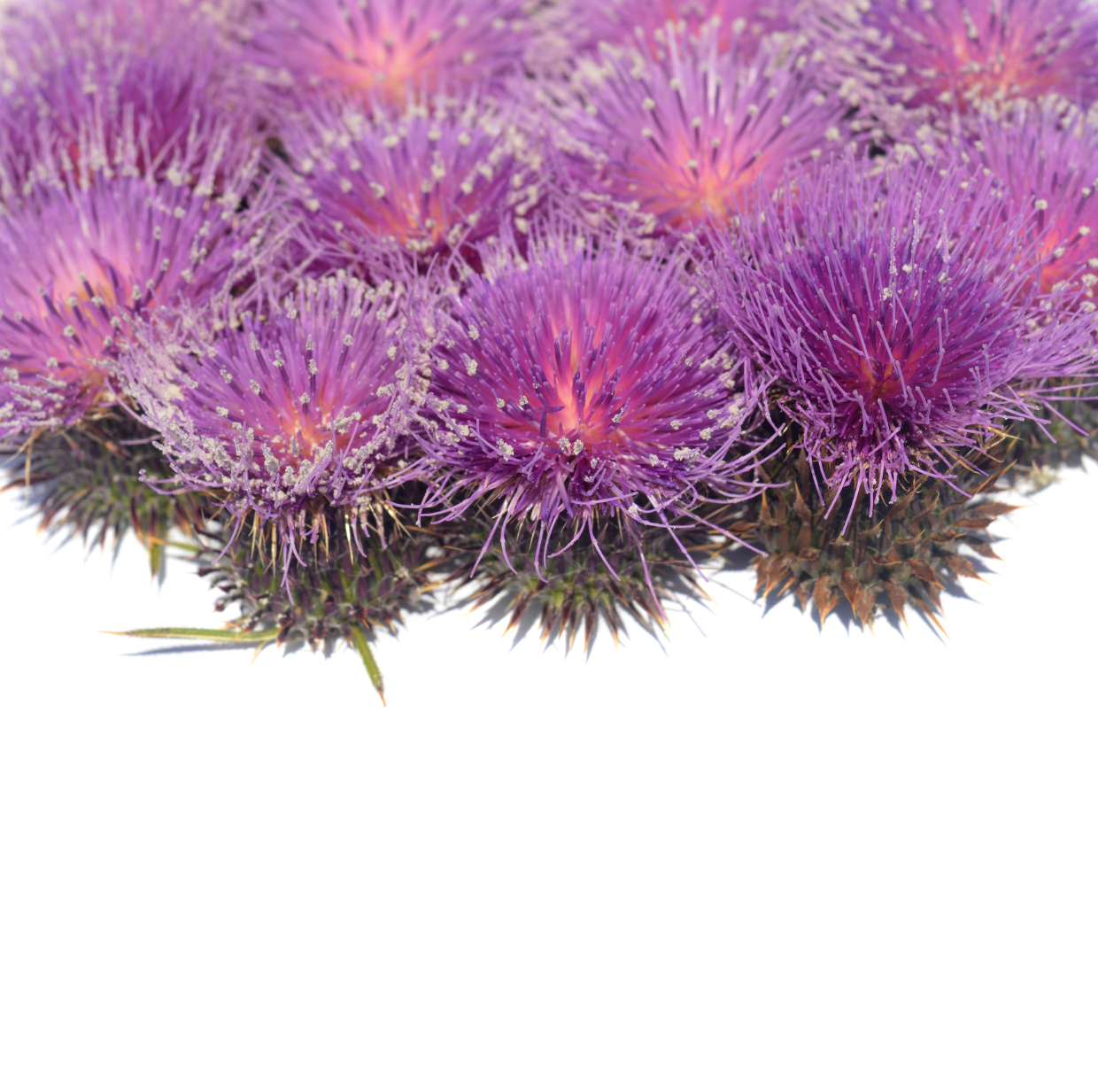 微信图片_20240513150107 微信图片_20240513150107