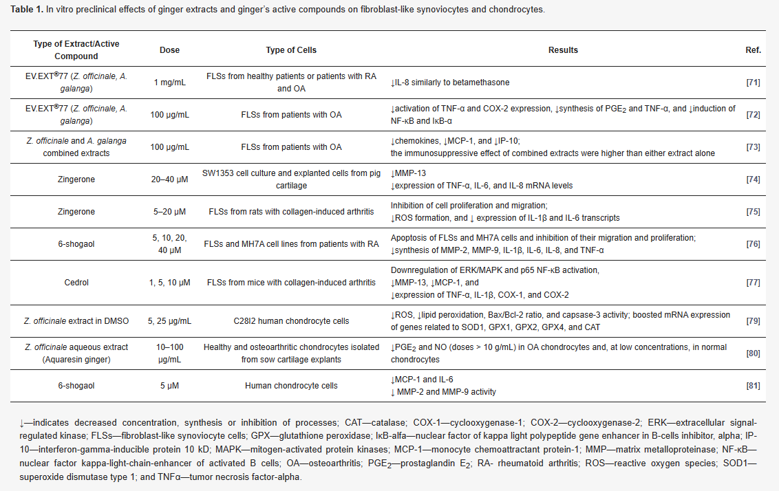 生姜实验1 生姜实验1