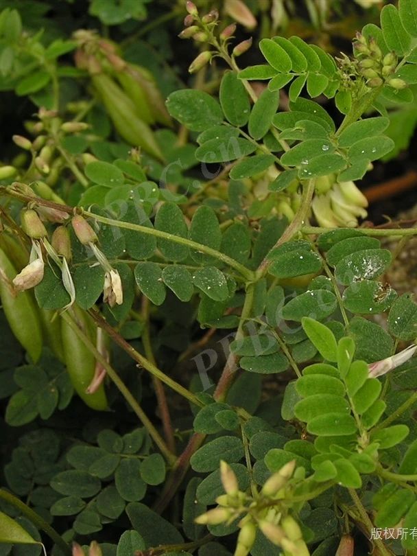 微信图片_20240401134923 фото _20240401134923