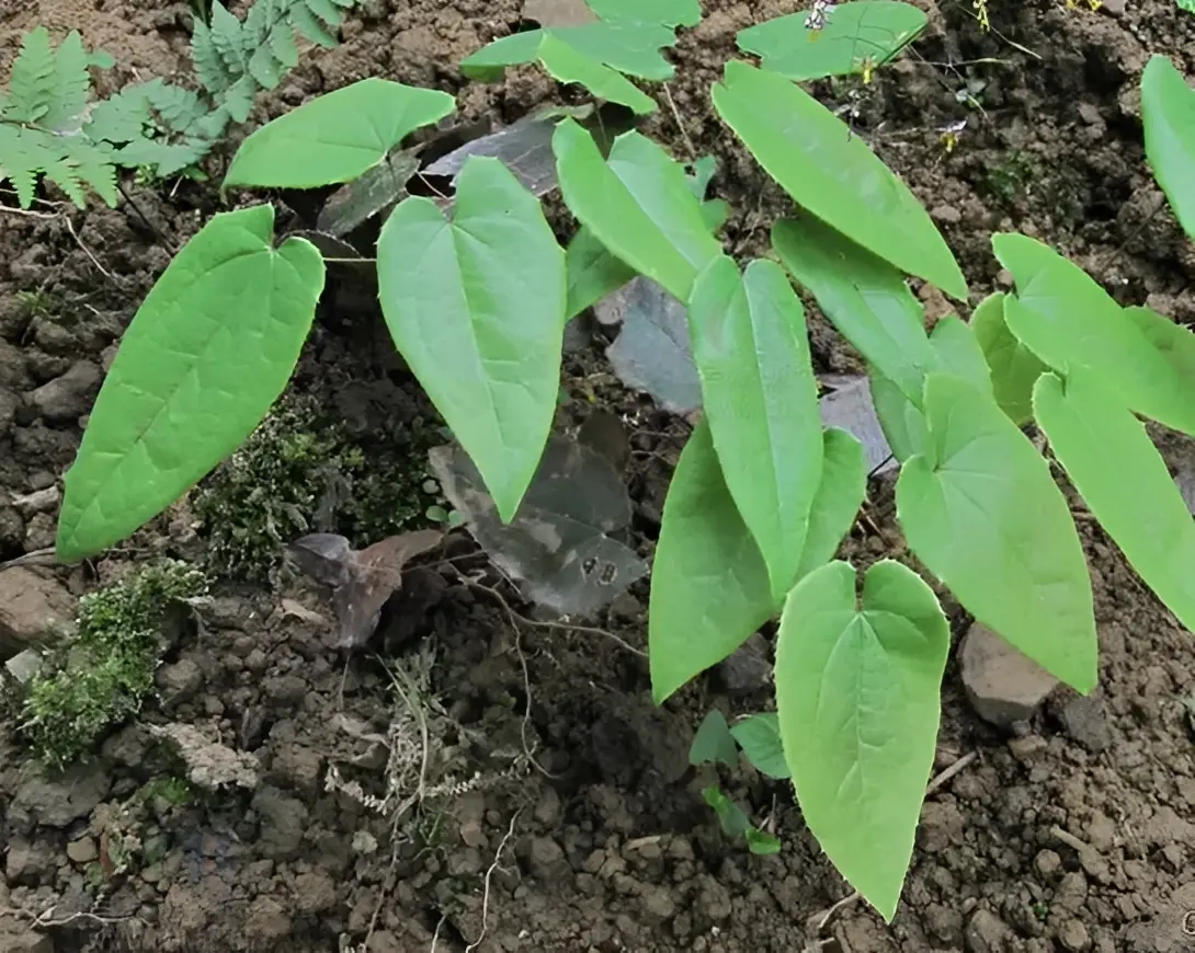 20240221-111632 20240221-111632