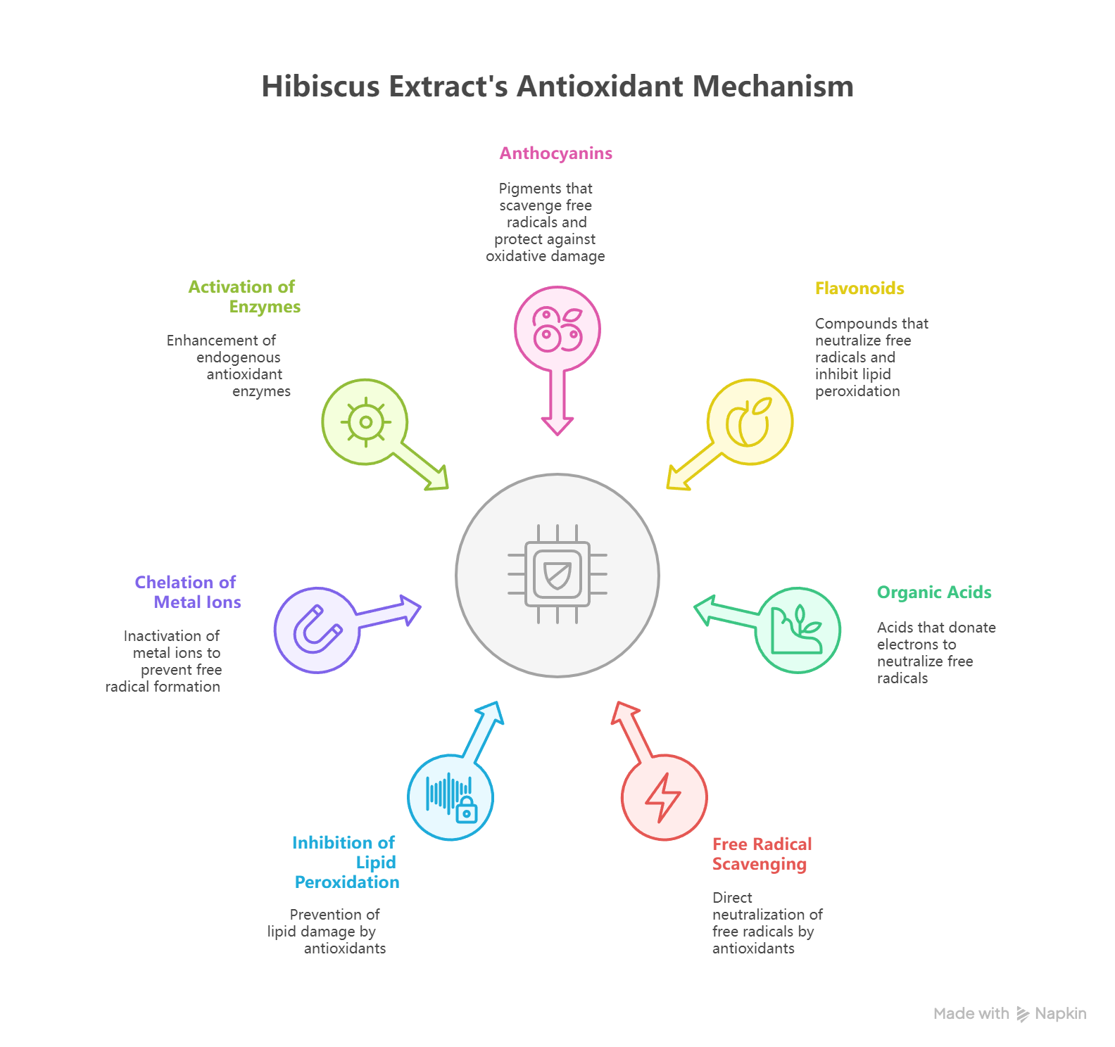 The Antioxidant Mechanism of Hibiscus Extract - visual selection ~!phoenix_varIMG12!~