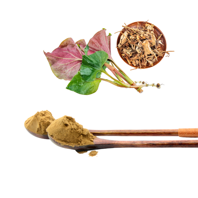 Экстракт хауттюйнии сердцевидной