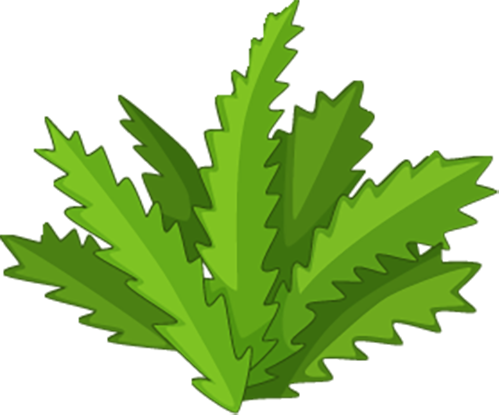 фото_20231103114920 