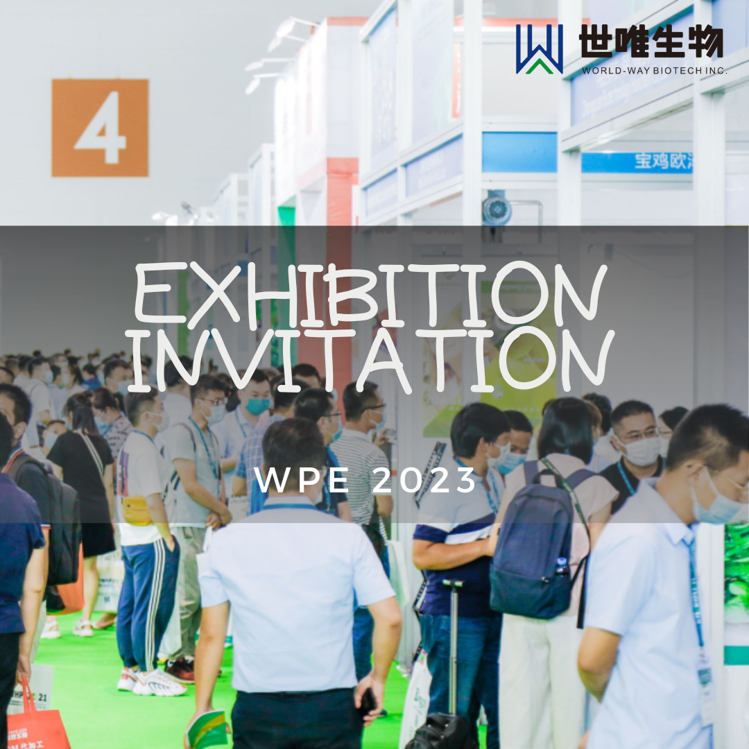 Приглашение на выставку WPE 2023