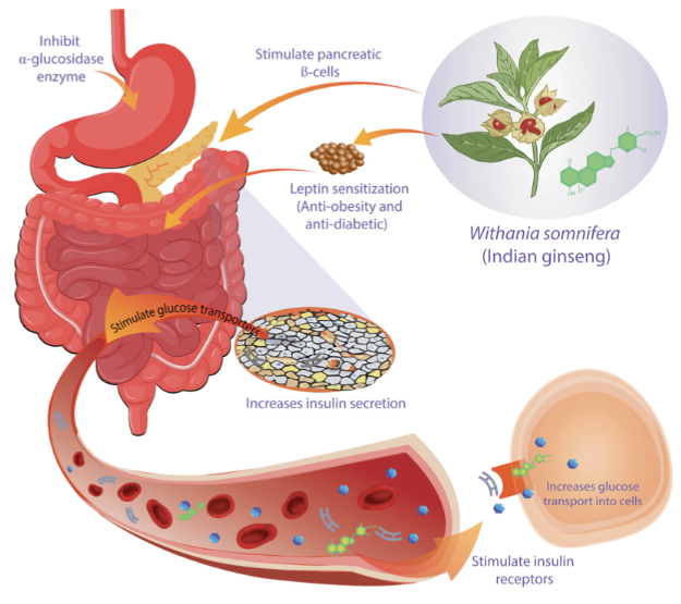 3992edb4-8060-4456-9dde-95606bbc78ce 