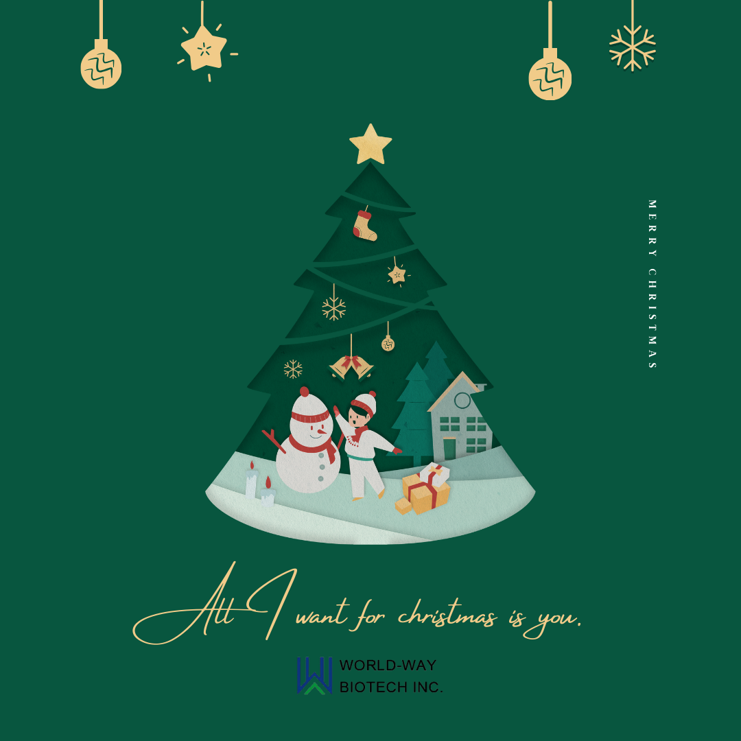 2020／Ноябрь／28 (1)