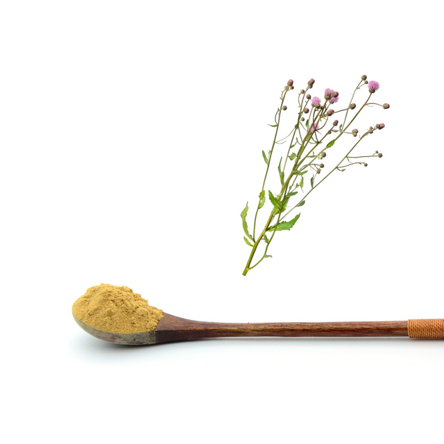 Экстракт чертополоха