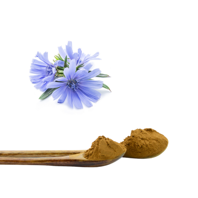 Экстракт цикория