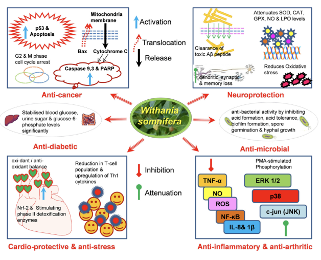 4191a3c3-1d36-4c54-ad8e-5327cd131e8b 