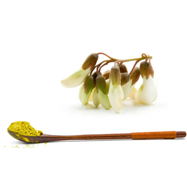 Экстракт софоры японской