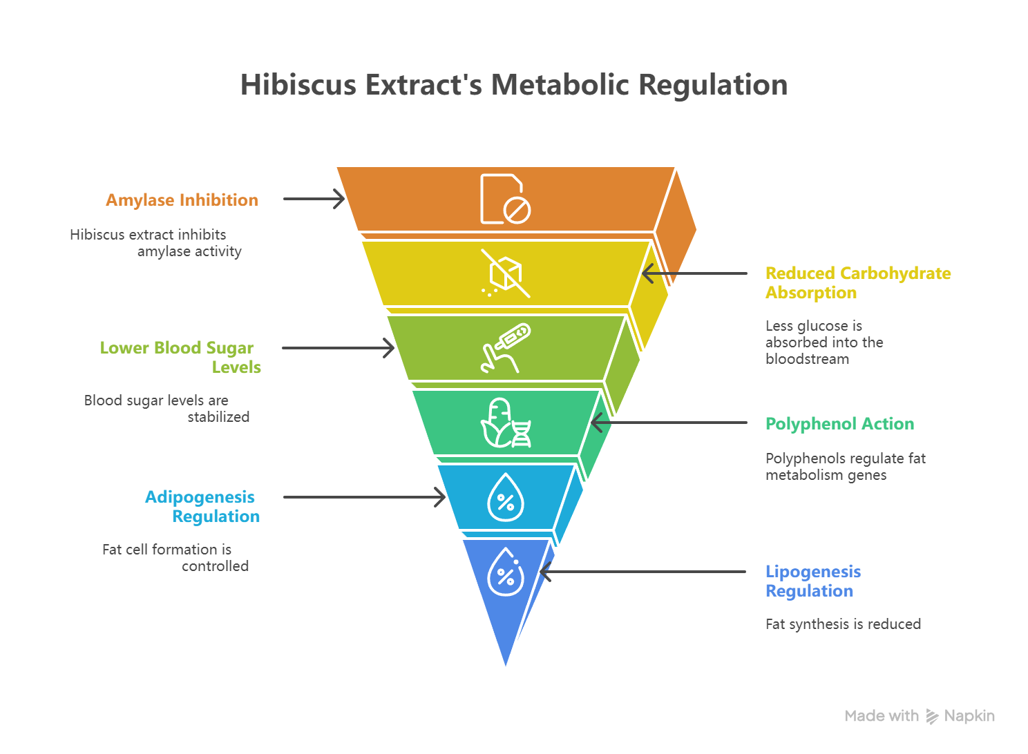 Mechanism of Action of Hibiscus Extract - visual selection ~!phoenix_varIMG18!~