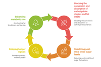 <h4><span style="font-size:36px;"><span style="font-family:Abril Fatface;">Сорполикс™: Механизм </span></span></h4> <link href="https://fonts.googleapis.com/css?family=Abril Fatface" rel="stylesheet" type="text/css">