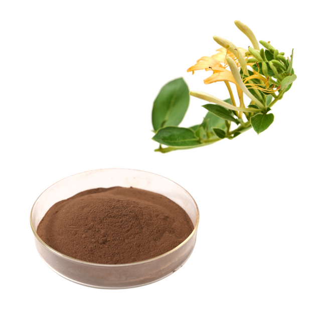 Экстракт жимолости