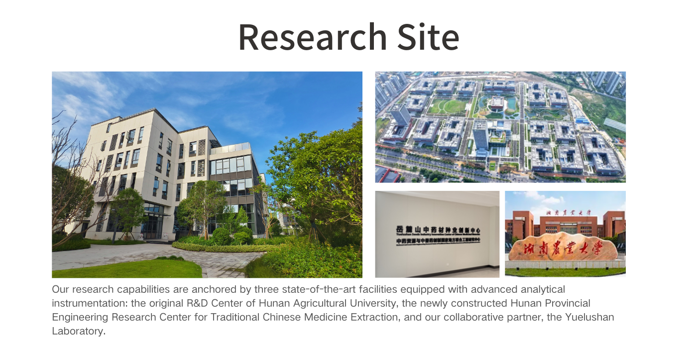 Исследовательский сайт