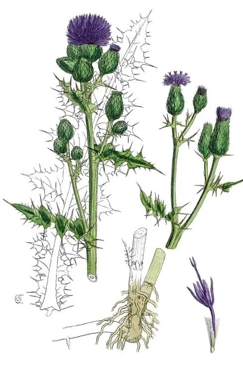 微信图片_20240513150125 фото_20240513150125