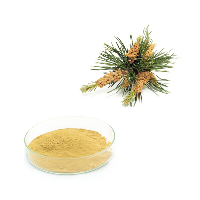 Экстракт сосновой пыльцы
