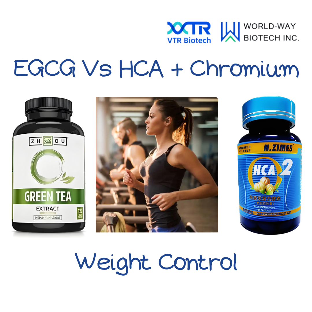 EGCG и HCA + хром: мощная комбинация для естественного снижения веса