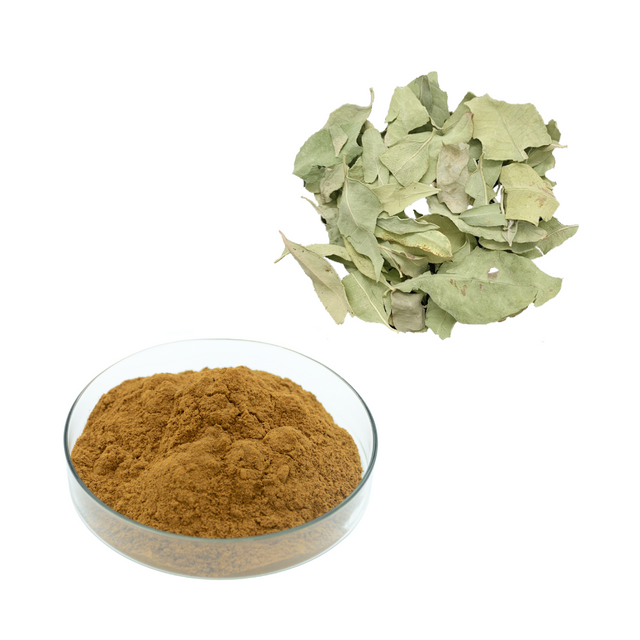 Экстракт листьев голубоватого собачьего яда