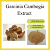 Экстракт гарцинии камбоджийской