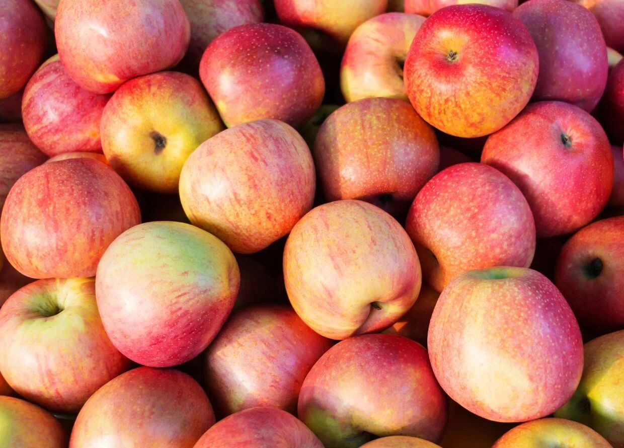 微信图片_20240418135112 фото_20240418135112