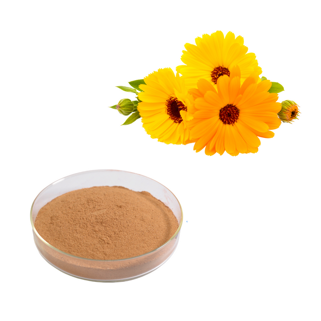 Экстракт календулы лекарственной