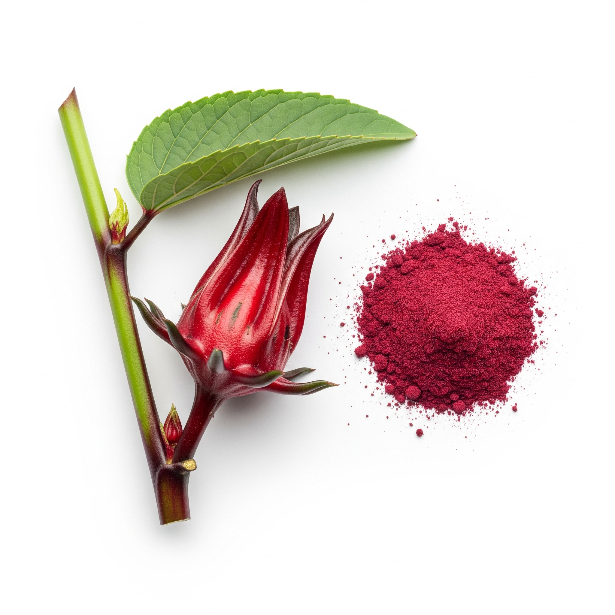 Gemini_Generated_Image_yk65dqyk65dqyk65 Gemini_Generated_Image_yk65dqyk65dqyk65