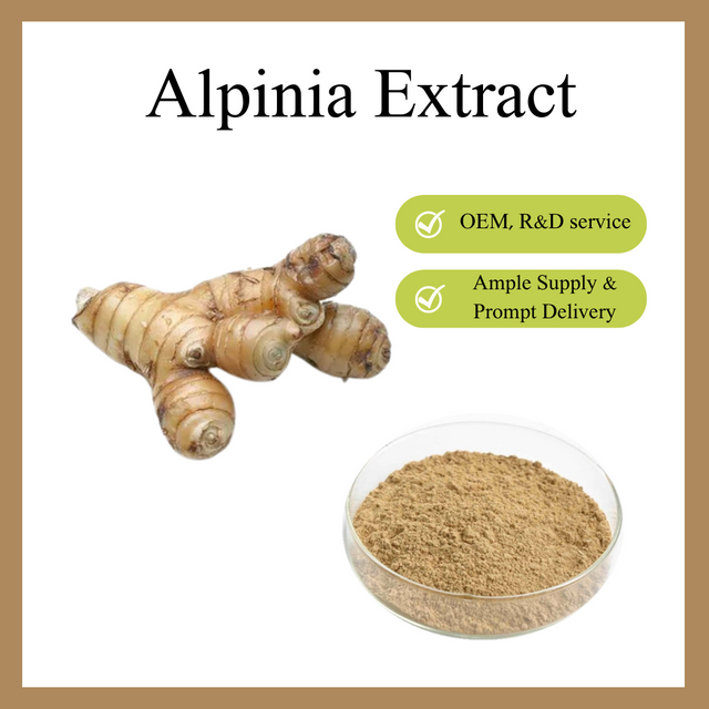 Экстракт альпинии лекарственной