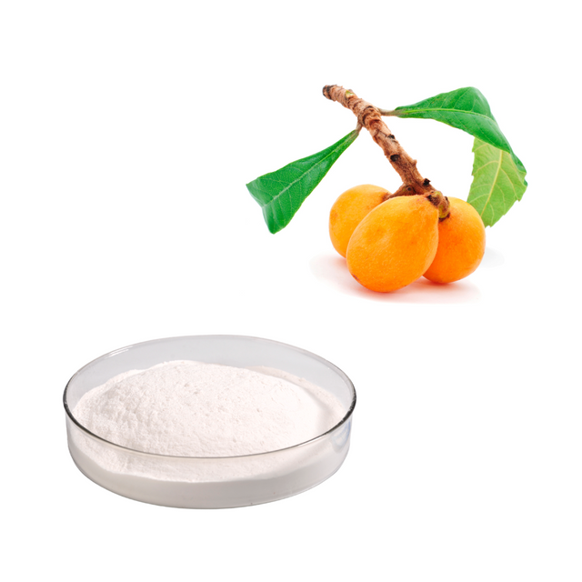  Экстракт листьев локваты