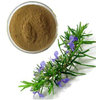 Экстракт карнозиновой кислоты из экстракта розмарина