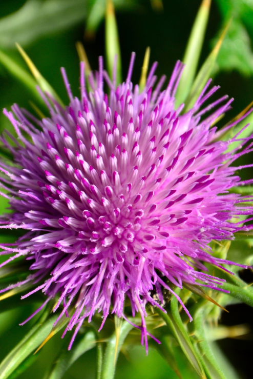 微信图片_20240513150059 微信图片_20240513150059