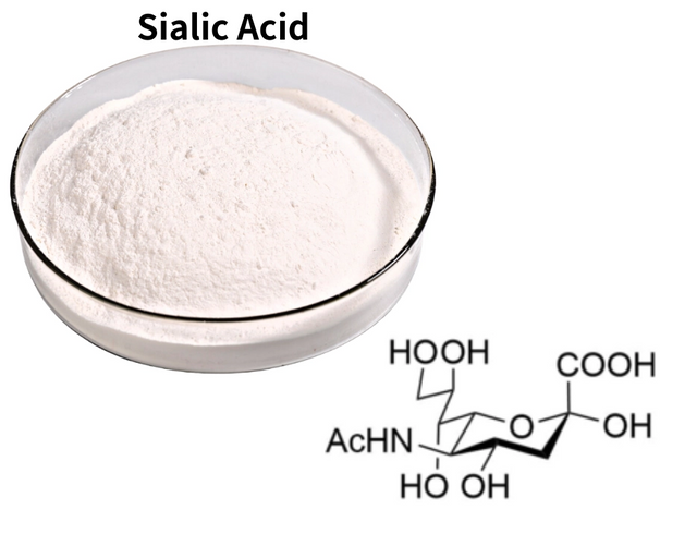 Сиаловая кислота