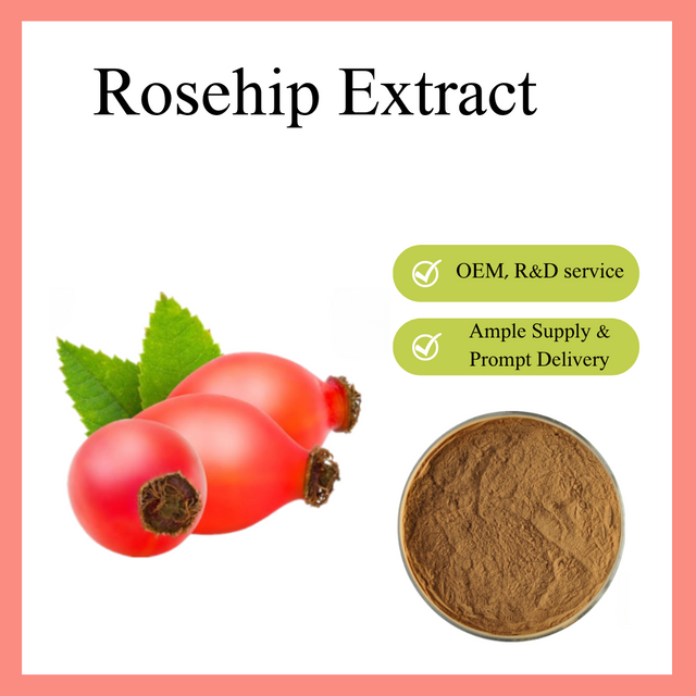 Экстракт шиповника