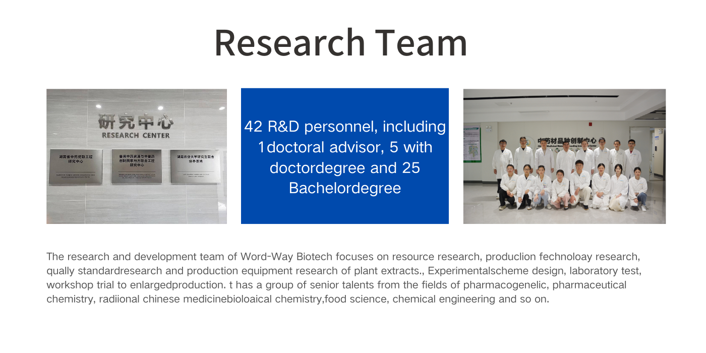Исследовательская группа