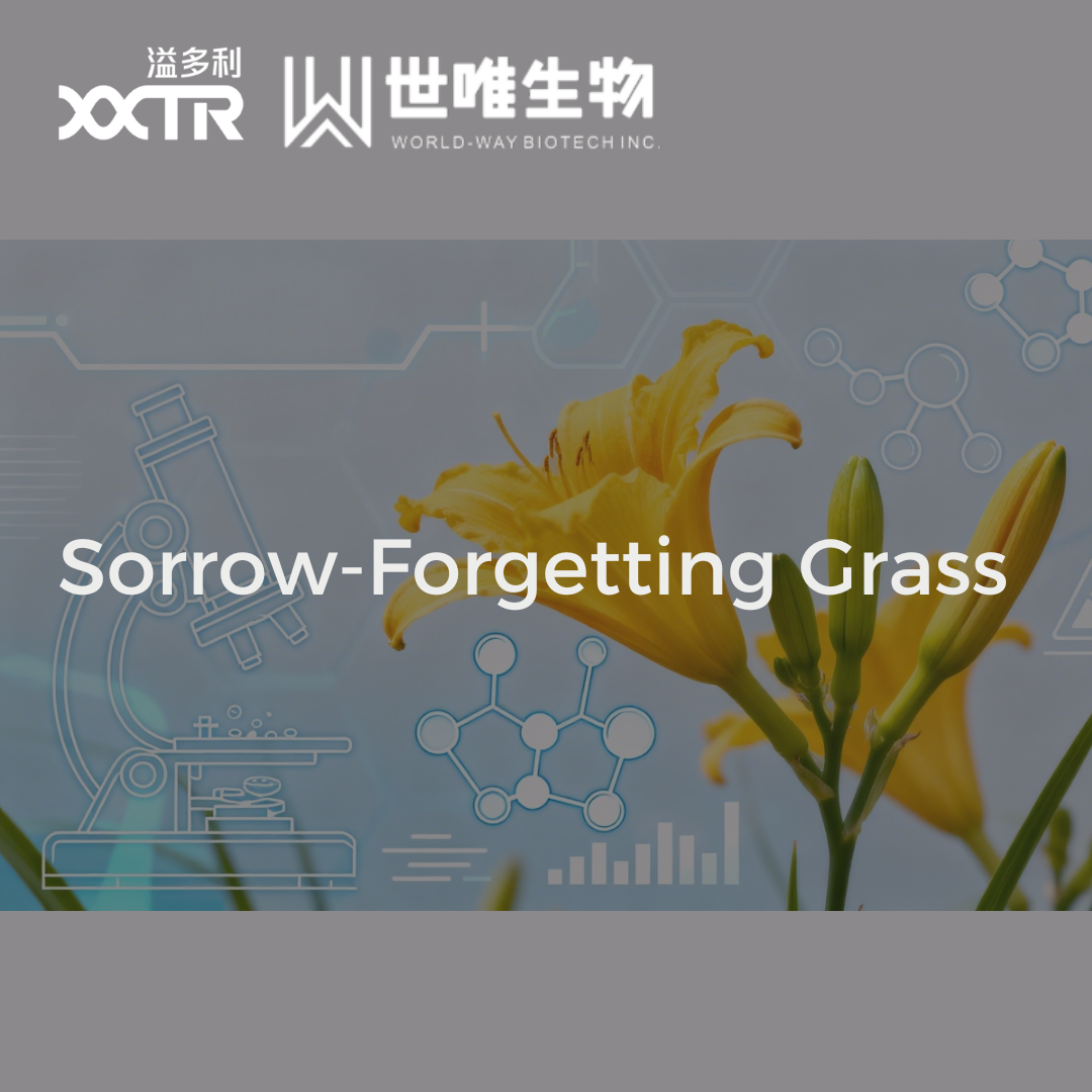 Когда древняя мудрость встречается с современной наукой