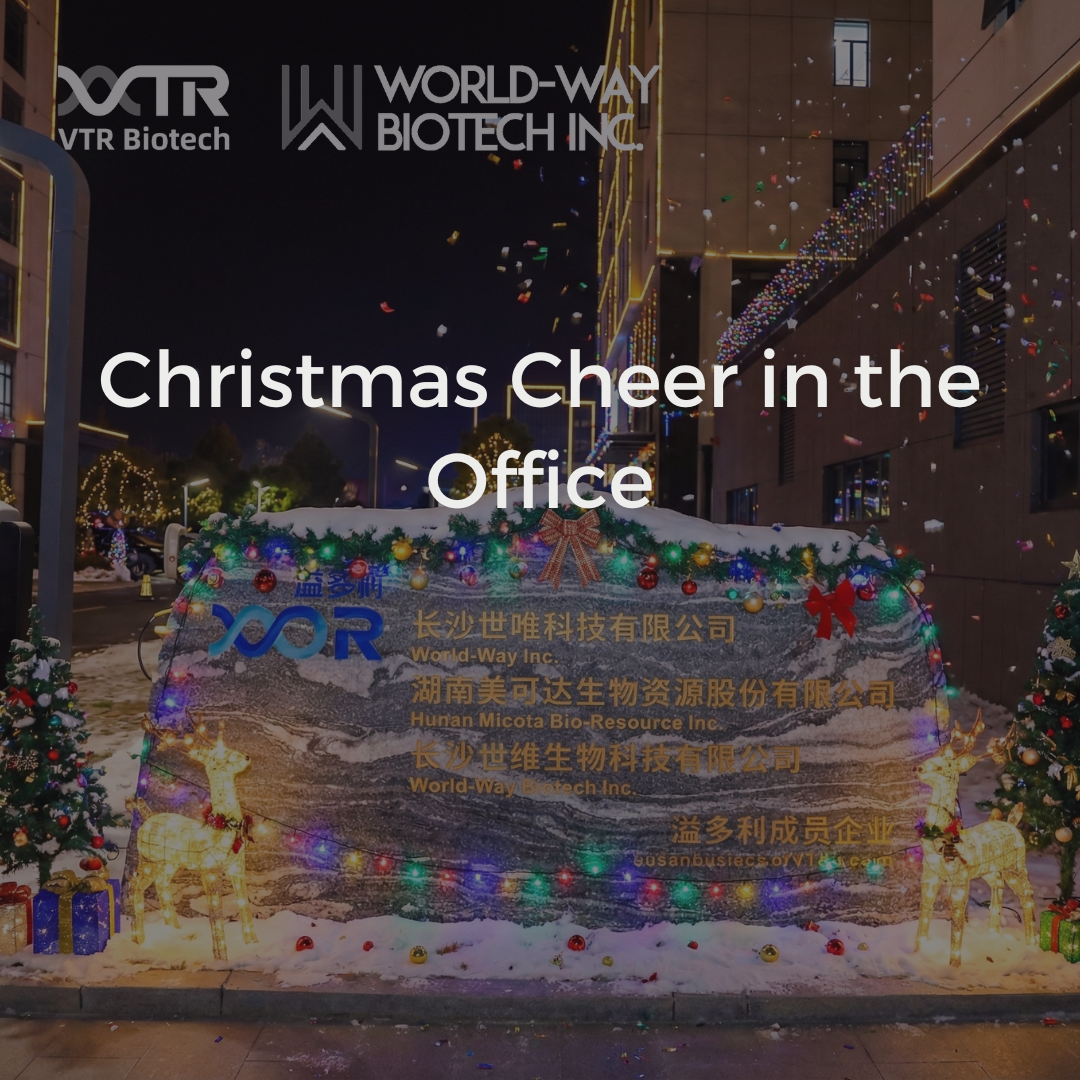 Рождественское настроение в офисе: наша «Рождественская елка из бумажных стаканчиков» сплотила команду — это было настоящее волшебство