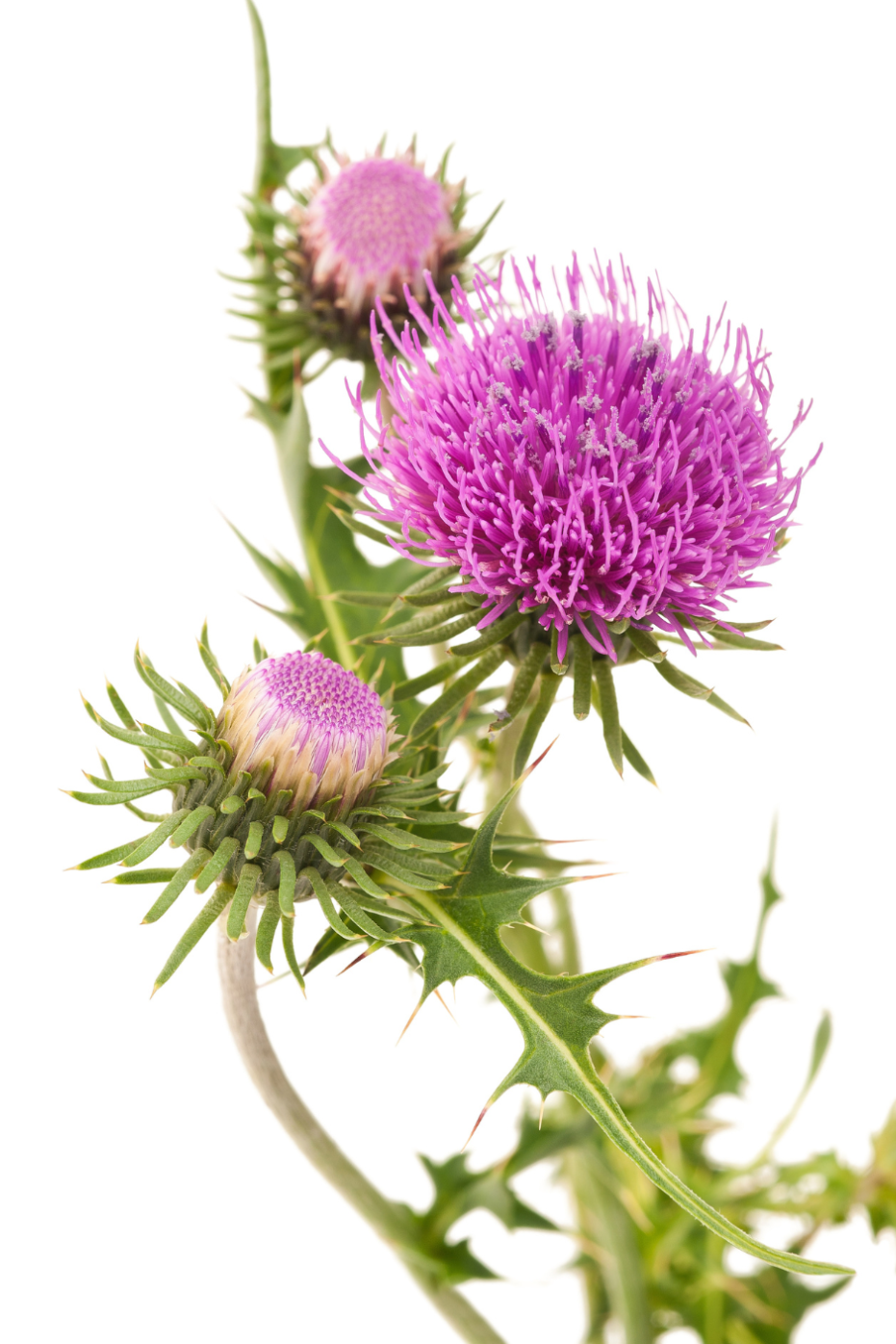 微信图片_20240513150029 微信图片_20240513150029