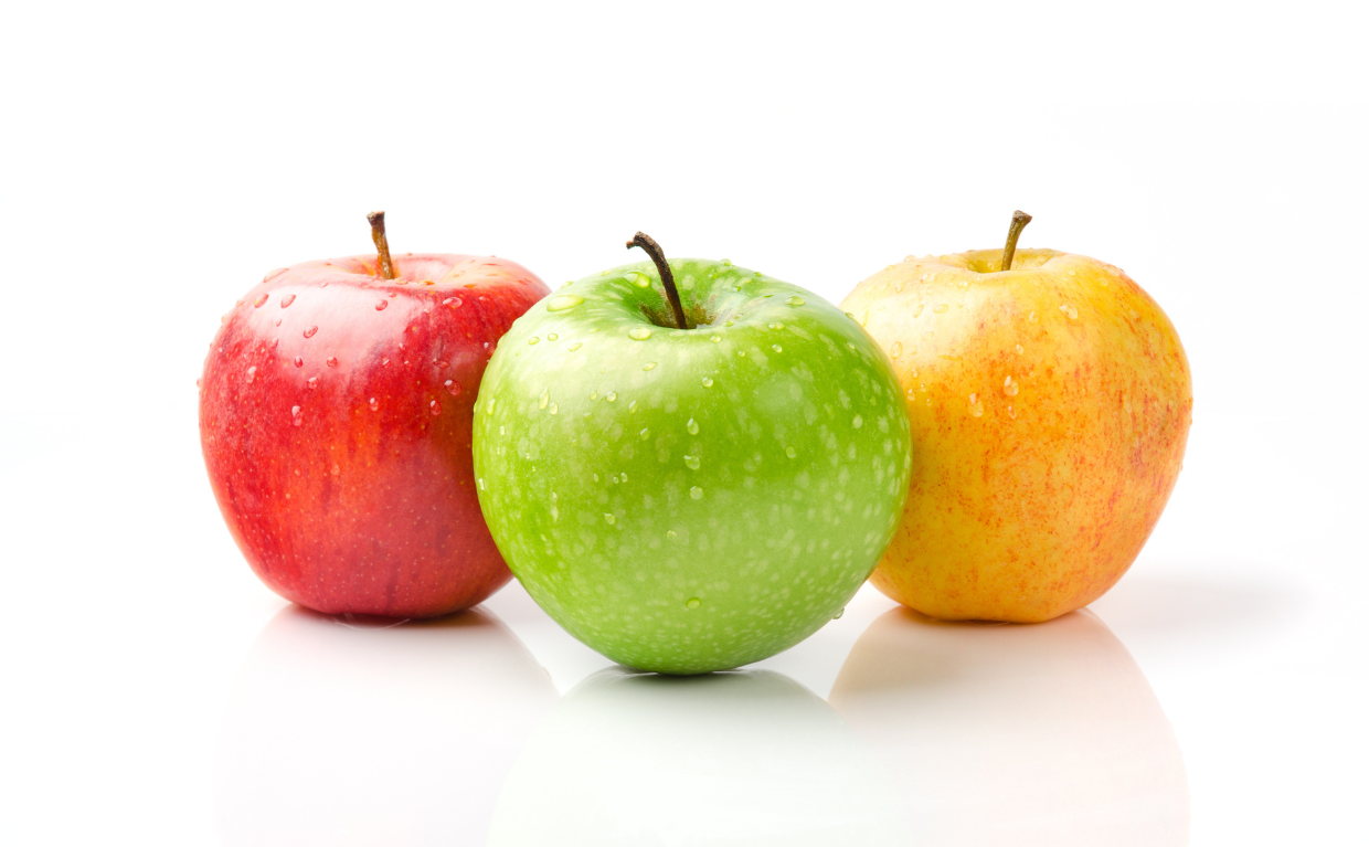 微信图片_20240418141250 фото_20240418141250