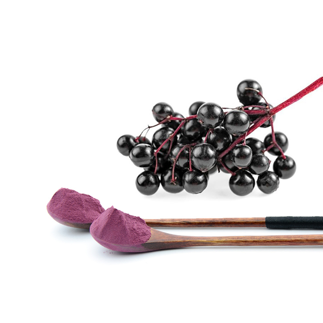 Экстракт черной бузины 