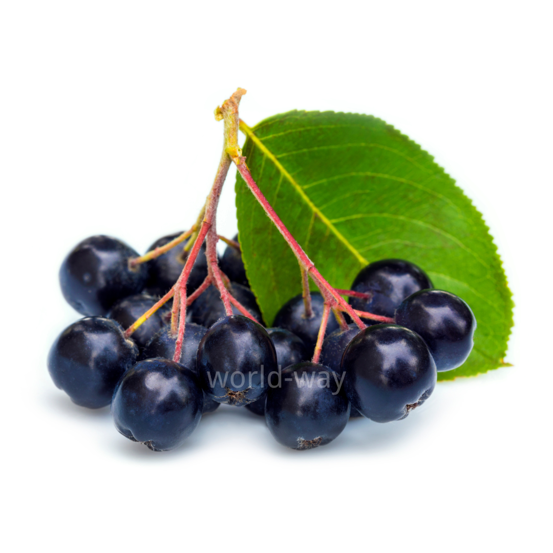 1.29野樱莓（官网水印