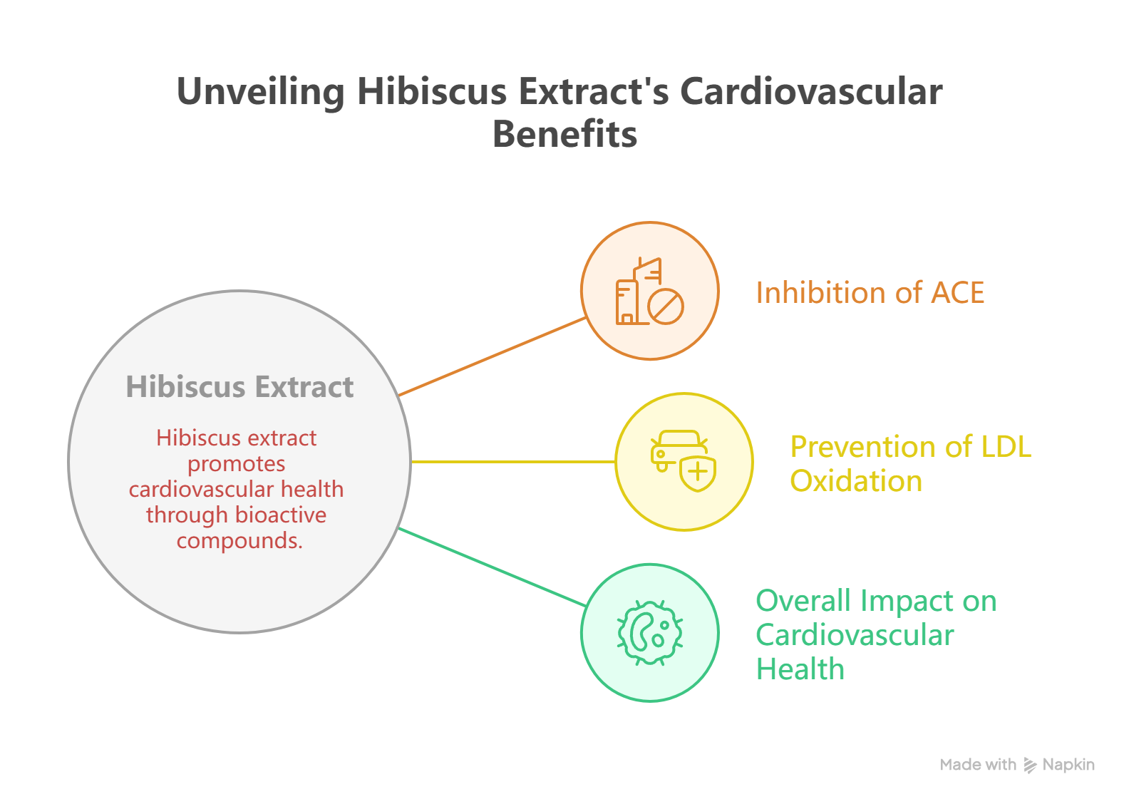 Hibiscus Extract and Cardiovascular Health_ A Mechanism of Action - visual selection (1) ~!phoenix_varIMG15!~