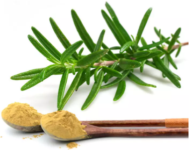 Как выбрать корм для собаки за ОДНУ минуту