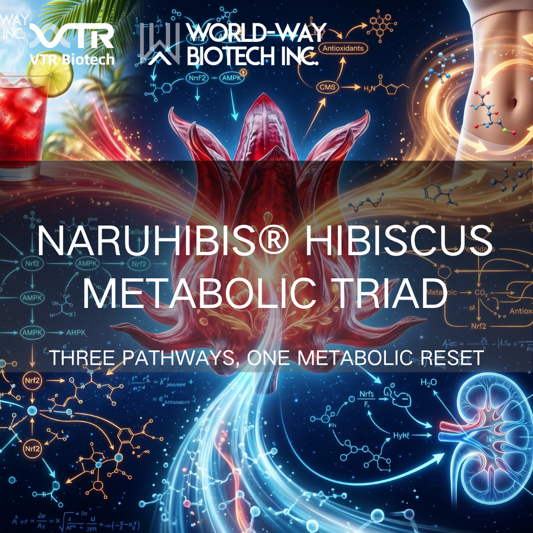 За пределами терпкого вкуса: Naruhibis® Hibiscus как многоцелевой метаболический регулятор по трем сигнальным путям