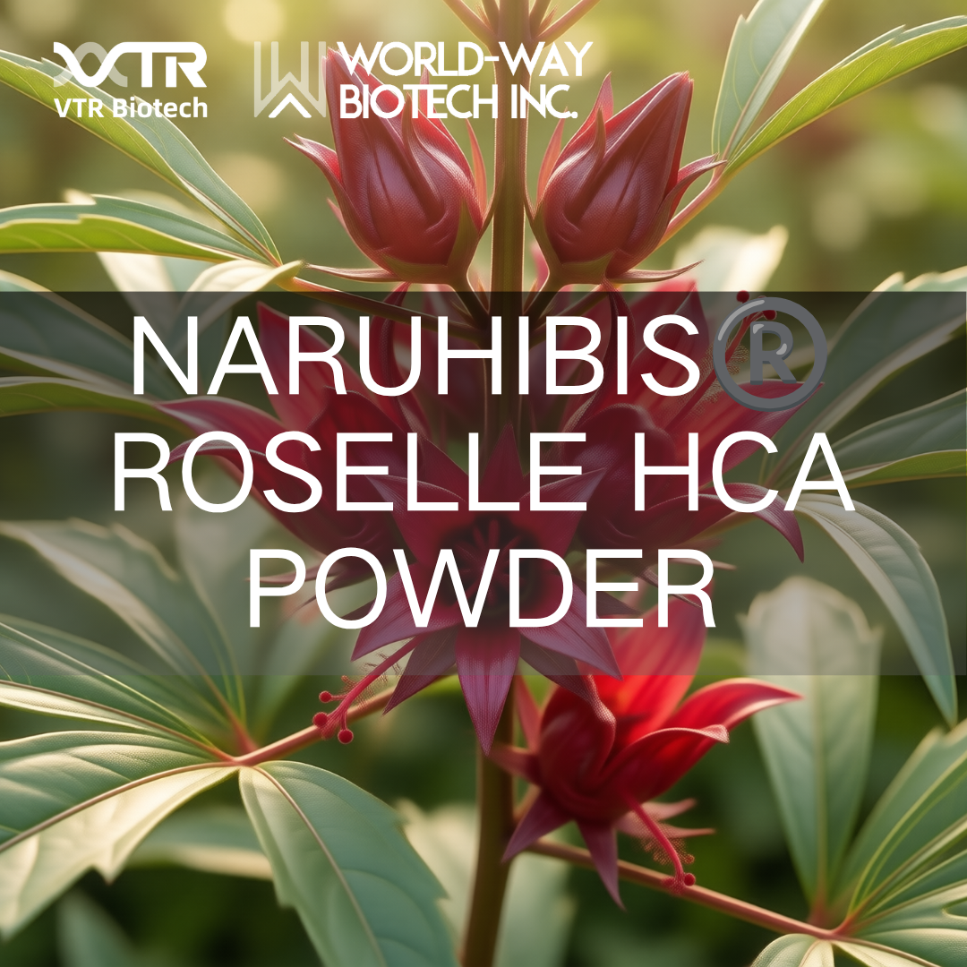 Порошок Naruhibis® Roselle HCA: натуральное высокоэффективное решение для научно обоснованного контроля веса