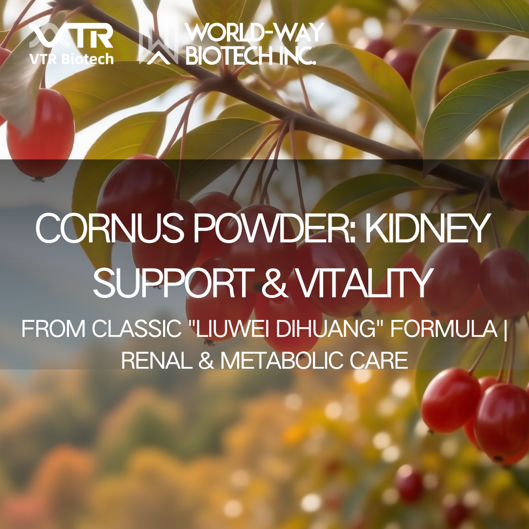 Порошок Cornus officinalis: современная наука встречает тысячелетия мудрости в области тонизирования почек