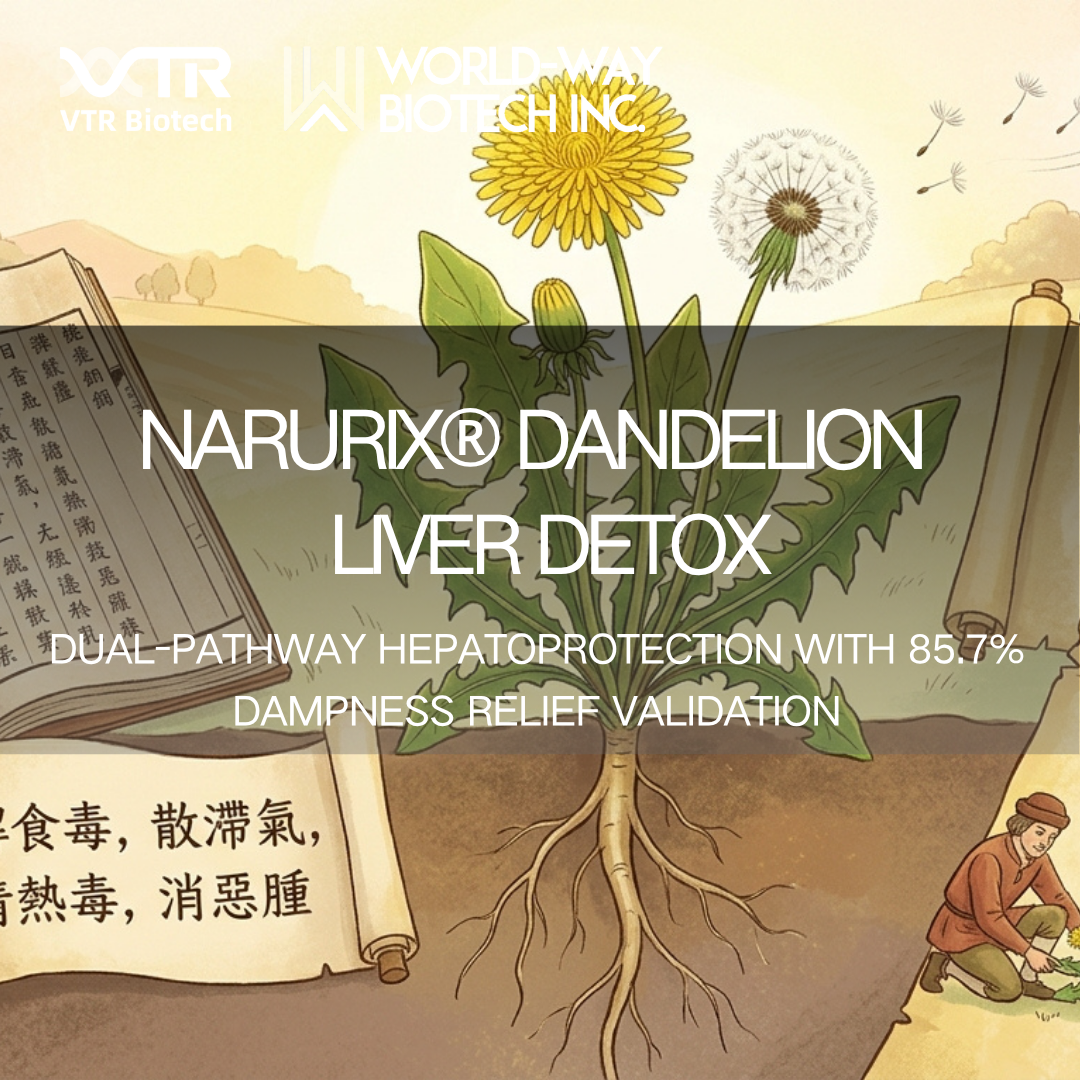 Порошок одуванчика Narurix®: двойная детоксикация печени с уменьшением влажности на 85,7%.