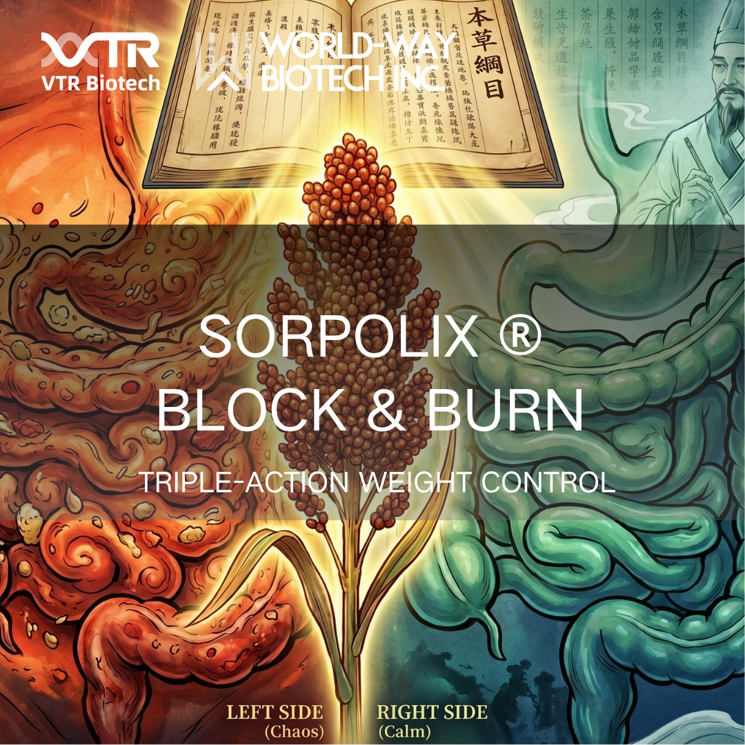 Полнозвенная блокада: как Sorpolix® естественным образом воздействует на углеводы, липиды и аппетит